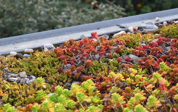 the cost of Coleman Green green roof installation