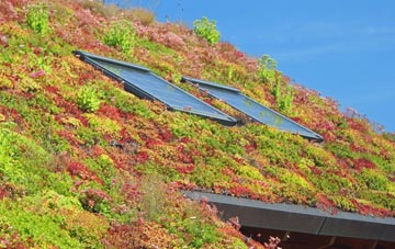 Coleman Green living roof systems